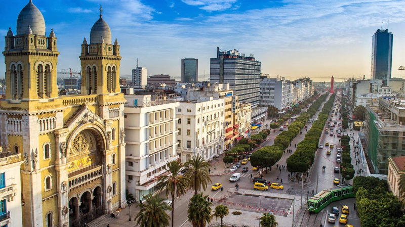 تونس قبل المغرب ومصر في التعليم والرعاية الصحية