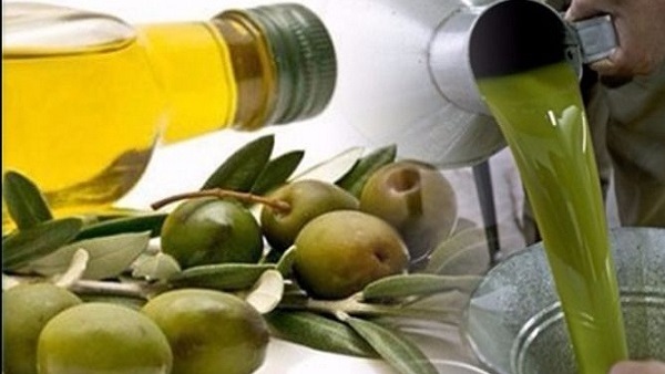 لتمكين التونسيين من شراءه : تحديد هامش الربح الأقصى لبيع زيت الزيتون المعلب