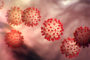 الصين: إعلان مستوى الخطر الثالث لتفشي مرض الطاعون الدملي