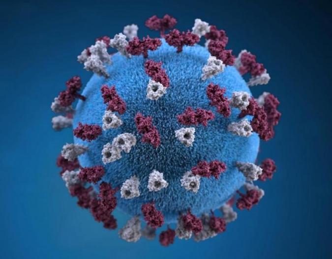 أطباء هنود يكتشفون 10 أنواع فرعية من فيروس كورونا