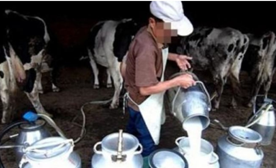 وزارة الصحة تحذر من استهلاك الحليب غير المعقم ومشتقاته..