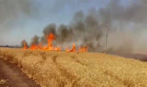 جندوبة/ حريق يأتي على 4 هكتارات من حقول القمح