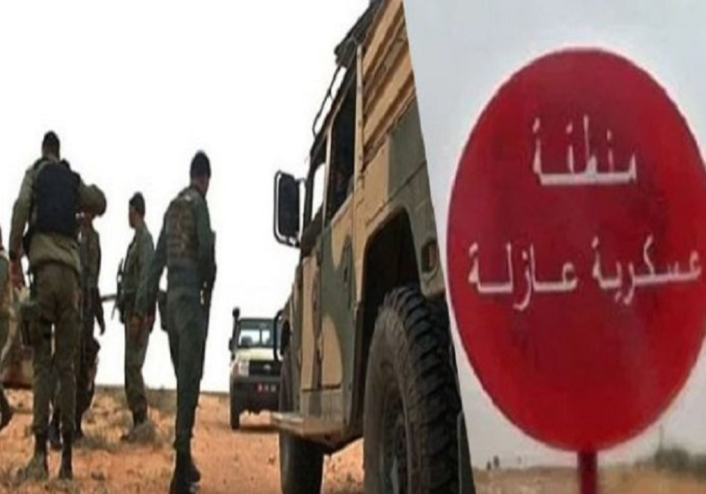 وزير الدفاع يؤكد تصاعد وتيرة محاولات التسلّل إلى تونس من الجانب الليبي..ويُحذّر