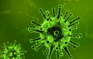أخطر من الكورونا: تقارير تحذر من فيروس ''نيباه'' المرعب.. وهذه خصائصه!!