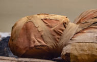 مصر القديمة: اكتشاف مومياوات بألسنة 