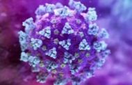 علماء بريطانيا: فيروس كورونا المحور في تطور والطفرة الجديدة مثيرة للقلق
