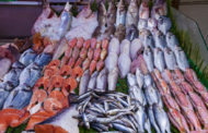 بالصور: شاهد أفضل أنواع الأسماك الموريتانية.. ومنافعها الصحية!!