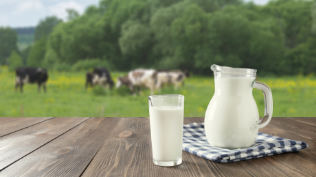 اتّحاد الفلاحة يُطالب بإقرار زيادة عاجلة في سعر قبول الحليب عند الفلاح