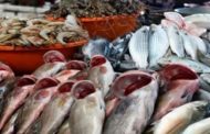 بنحو 464 مليون دينار: تسجيل فائض في الميزان التجاري لمنتوجات الصيد البحري