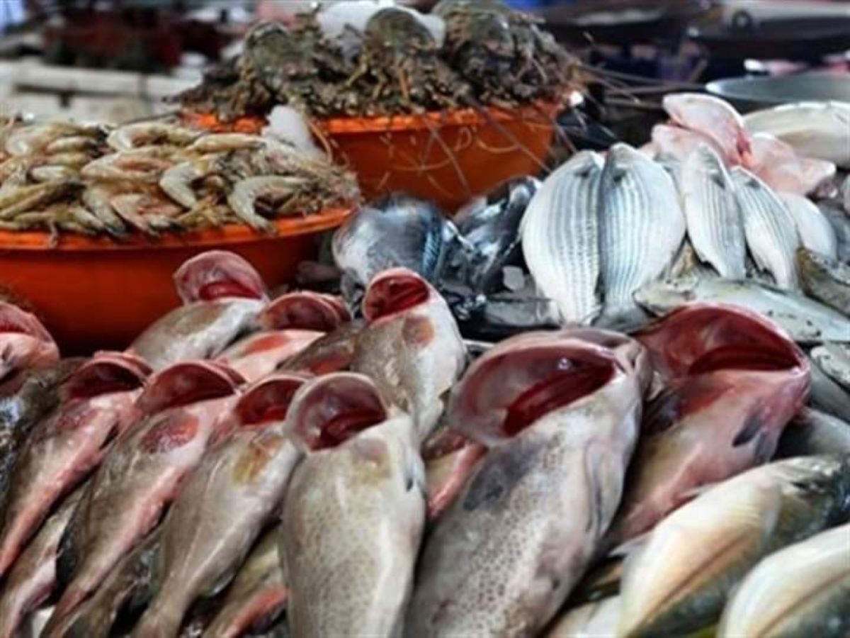 بنحو 464 مليون دينار: تسجيل فائض في الميزان التجاري لمنتوجات الصيد البحري